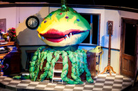 Tilton School- Little Shop of Horrors