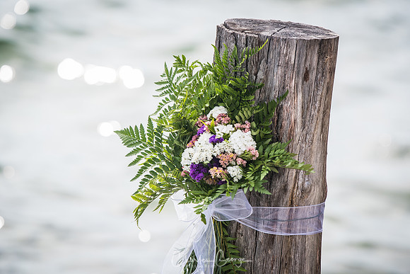 cgeorgephoto_2022_SwansburgWedding-1634